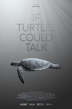 If Turtles Could Talk (2023) If Turtles Could Talk (2023)