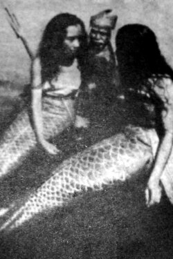 Ikan Doejoeng (1941)