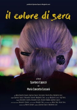 il colore di sera (2020) il colore di sera (2020)