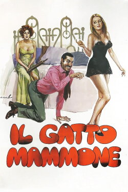 Il gatto mammone (1975) Il gatto mammone (1975)