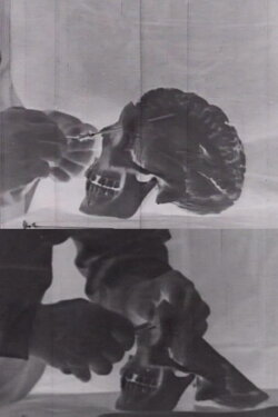 Il preteso corpo (1977) Il preteso corpo (1977)