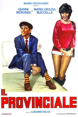 Il provinciale (1971)