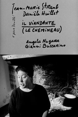 Il viandante (2001) Il viandante (2001)