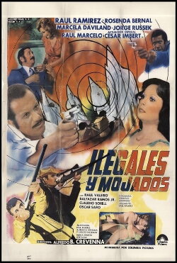 Ilegales y mojados (1980) Ilegales y mojados (1980)
