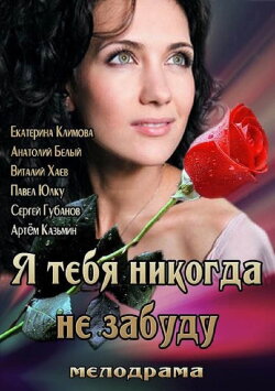 I'll Never Forget You (2013)