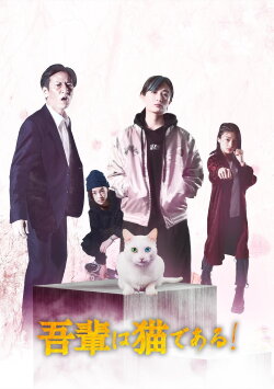 I'm a cat! (2021)
