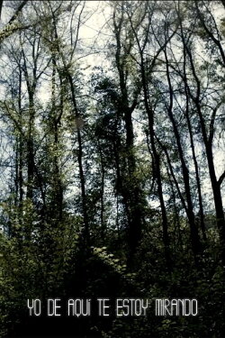 I'm Always Looking from Here (2011)