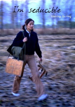 I'm Seducible (2006)