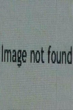Image Not Found (2013)
