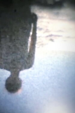 Imago (2003)