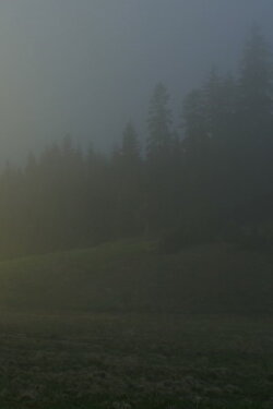 In A Beautiful And Quiet Location (2015)