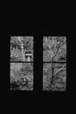 In and Out a Window (2021)