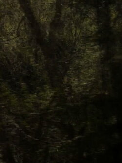 [In Between] Relentless Fire (2019)