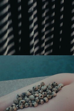 In Its Form Asleep (2016)