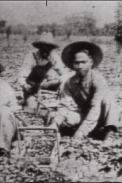 In No One's Shadow: Filipinos in America (1988)