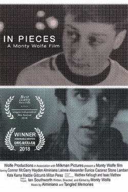In Pieces (2019) In Pieces (2019)