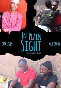 In Plain Sight (2019) In Plain Sight (2019)