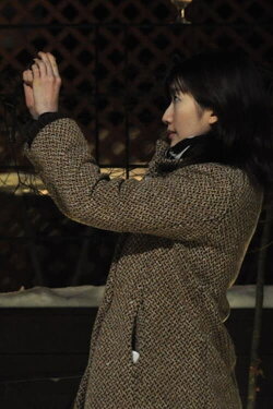 In Pursuit of the Moonlight (2010)