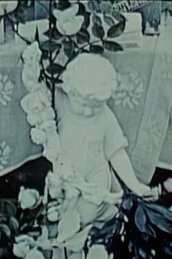 In Repose (1977)