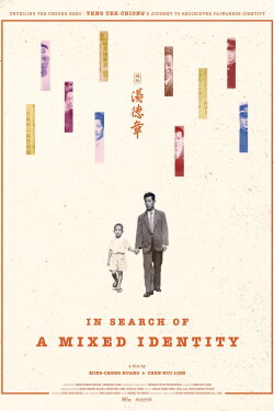 In Search of a Mixed Identity (2024)