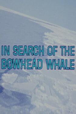 In Search of the Bowhead Whale (1974) In Search of the Bowhead Whale (1974)