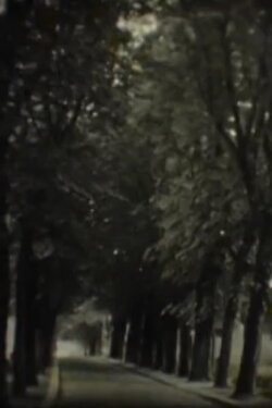 In Search of the Temple (2004) In Search of the Temple (2004)