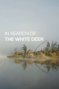 In Search of the White Deer (2023) In Search of the White Deer (2023)