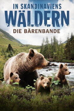 In Skandinaviens Wäldern - Die Bärenbande (2016) In Skandinaviens Wäldern - Die Bärenbande (2016)
