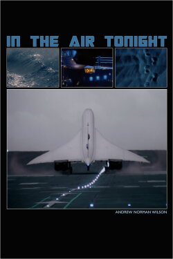 In the Air Tonight (2020) In the Air Tonight (2020)