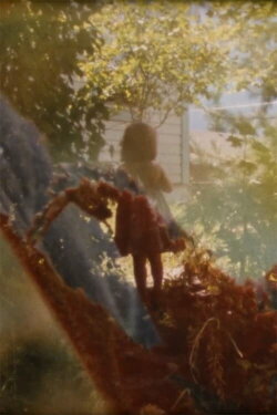 In the Backyarden (2015) In the Backyarden (2015)