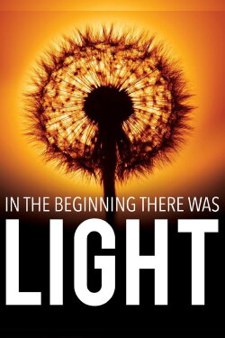 In the Beginning There Was Light (2010)