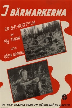In the Berry Fields (1941)