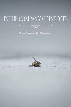 In the Company of Insects (2020)