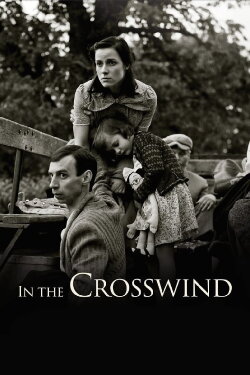 In the Crosswind (2014)