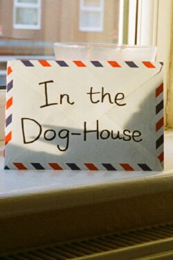 In The Dog-House (2023) In The Dog-House (2023)