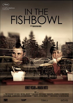 In the Fishbowl (2013) In the Fishbowl (2013)