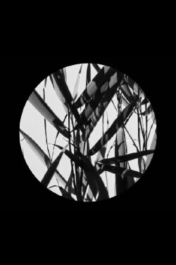 In the Footsteps of Li Yuan-chia & Delia Derbyshire (2021)