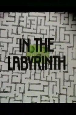 In the Labyrinth (1976) In the Labyrinth (1976)