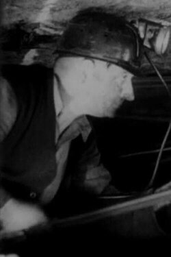 In the Low (1946) In the Low (1946)