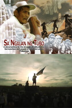 In the Name of the Sugarcane (2005) In the Name of the Sugarcane (2005)