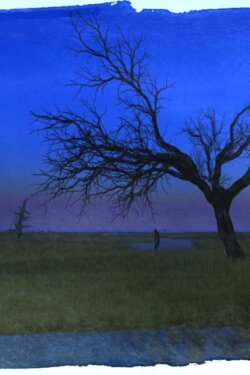In the Realms of Gold (2012) In the Realms of Gold (2012)