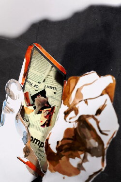 In the Shallows (2024) In the Shallows (2024)
