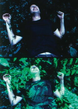 In the Stone House (2012)