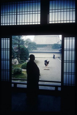 In the World of Zen (1986) In the World of Zen (1986)