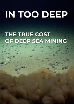 In Too Deep - The True Cost of Deep Sea Mining (2021)