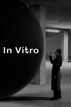 In Vitro (2019) In Vitro (2019)