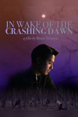 In Wake of the Crashing Dawn (2020) In Wake of the Crashing Dawn (2020)