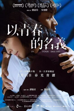 In Your Dreams (2017) In Your Dreams (2017)