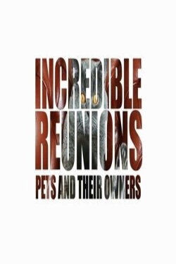 Incredible Reunions Pets and their Owners (2021)