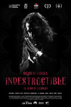 Indestructible: El alma de la salsa (2017) Indestructible: El alma de la salsa (2017)
